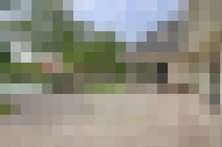 De Goudplevier 1 Harlingen thumbnail 5