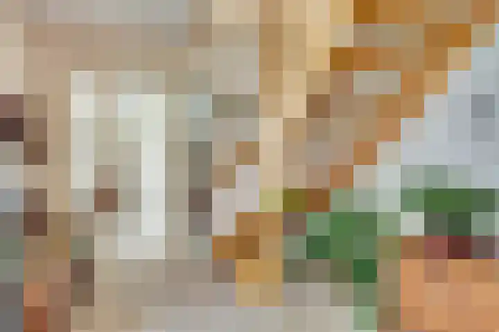 De Goudplevier 1 Harlingen thumbnail 6