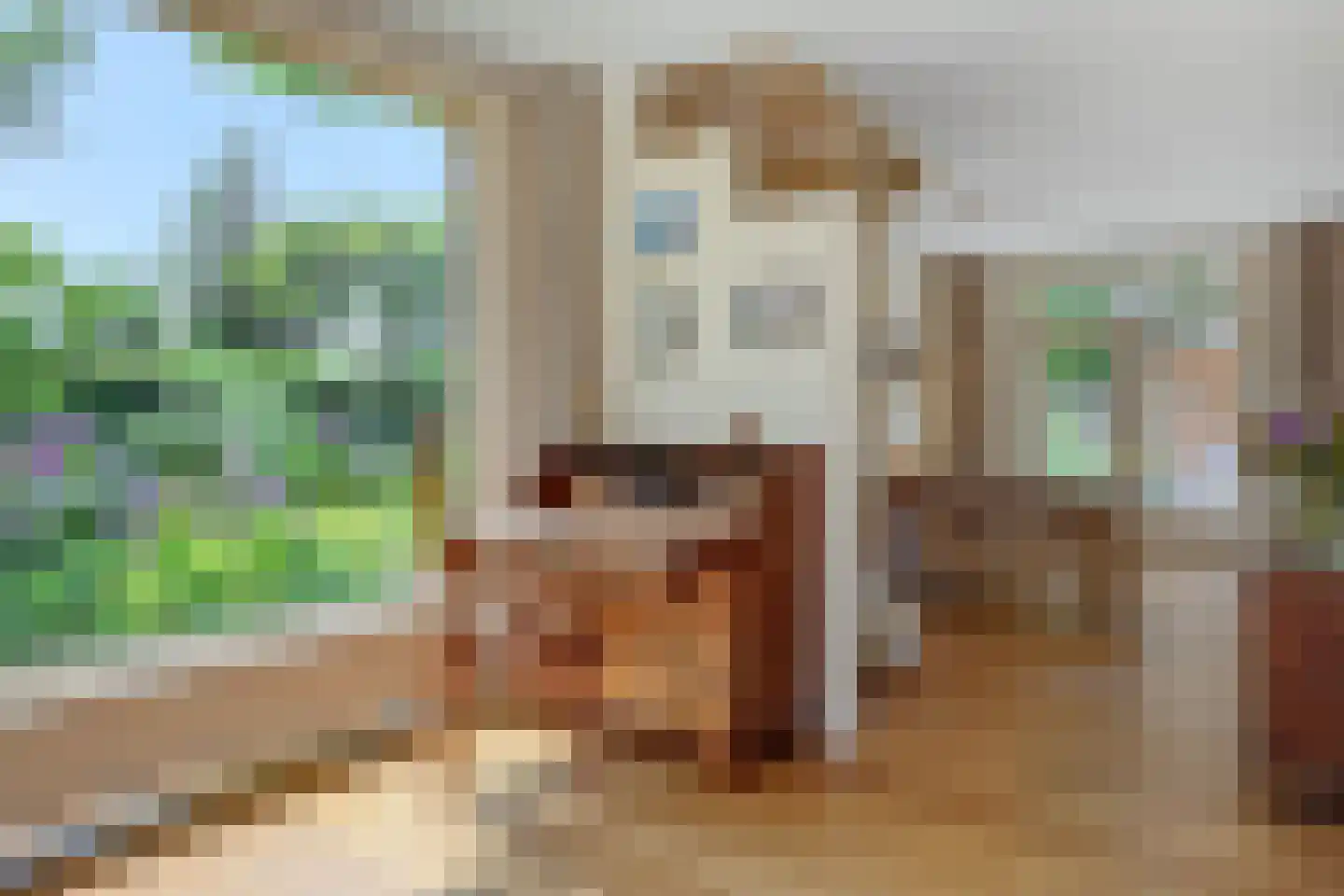 De Goudplevier 1 Sint-Michielsgestel thumbnail 10