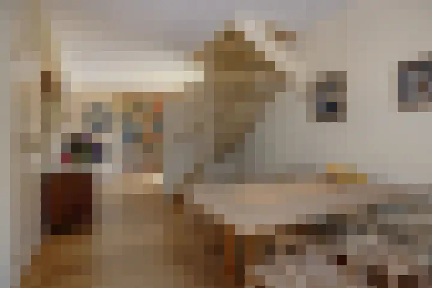 De Goudplevier 1 Sint-Michielsgestel thumbnail 15