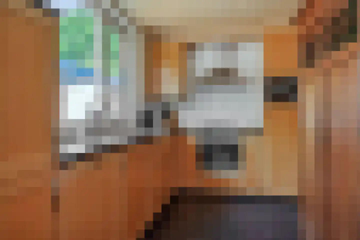 De Goudplevier 1 Sint-Michielsgestel thumbnail 16