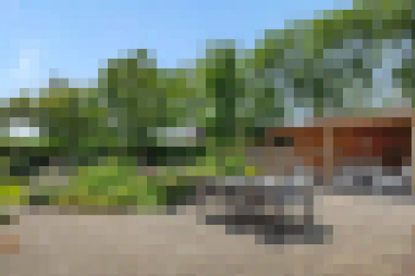 De Goudplevier 1 Sint-Michielsgestel thumbnail 19