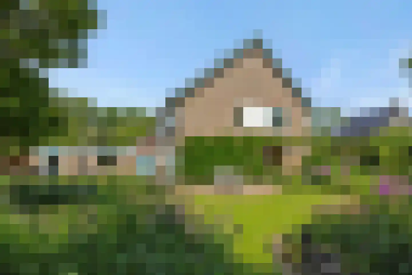 De Goudplevier 1 Sint-Michielsgestel thumbnail 23