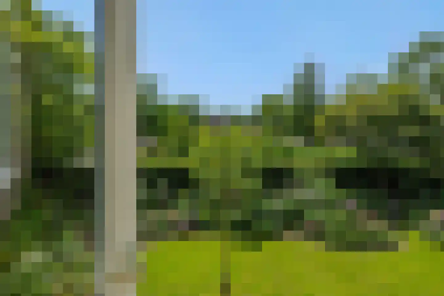 De Goudplevier 1 Sint-Michielsgestel thumbnail 33