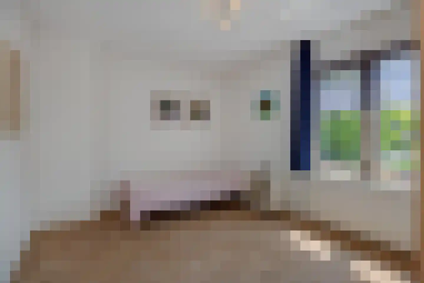 De Goudplevier 1 Sint-Michielsgestel thumbnail 34