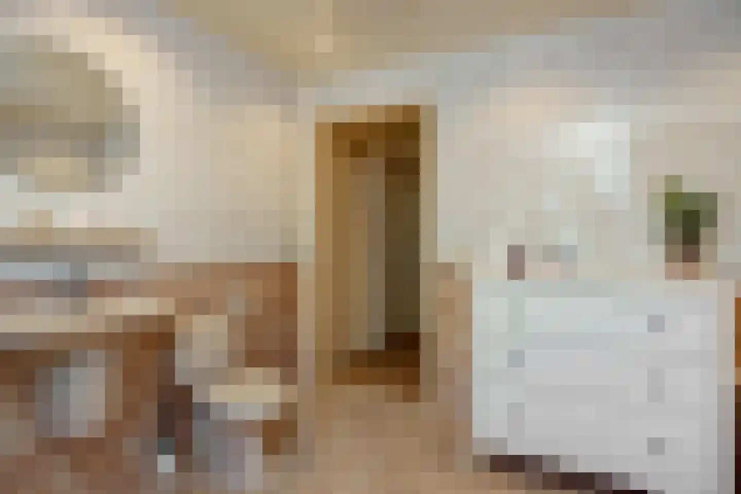 De Goudplevier 1 Sint-Michielsgestel thumbnail 37