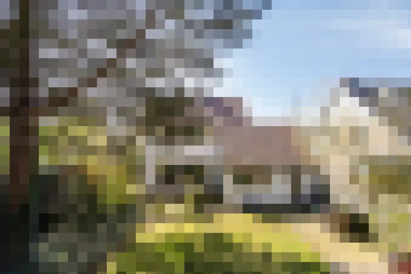 De Goudplevier 17 Sint-Michielsgestel thumbnail 36