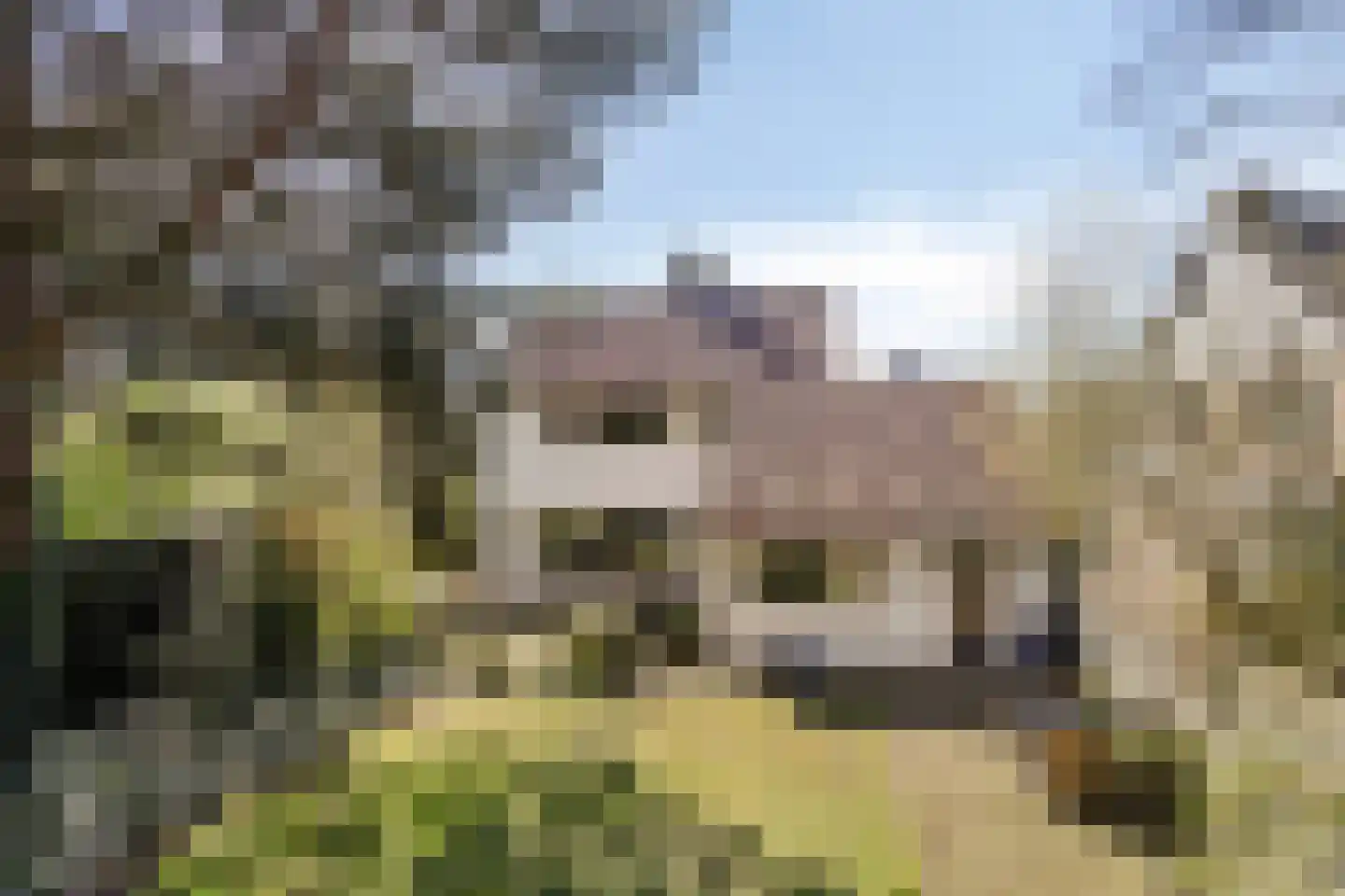 De Goudplevier 17 Sint-Michielsgestel thumbnail 37