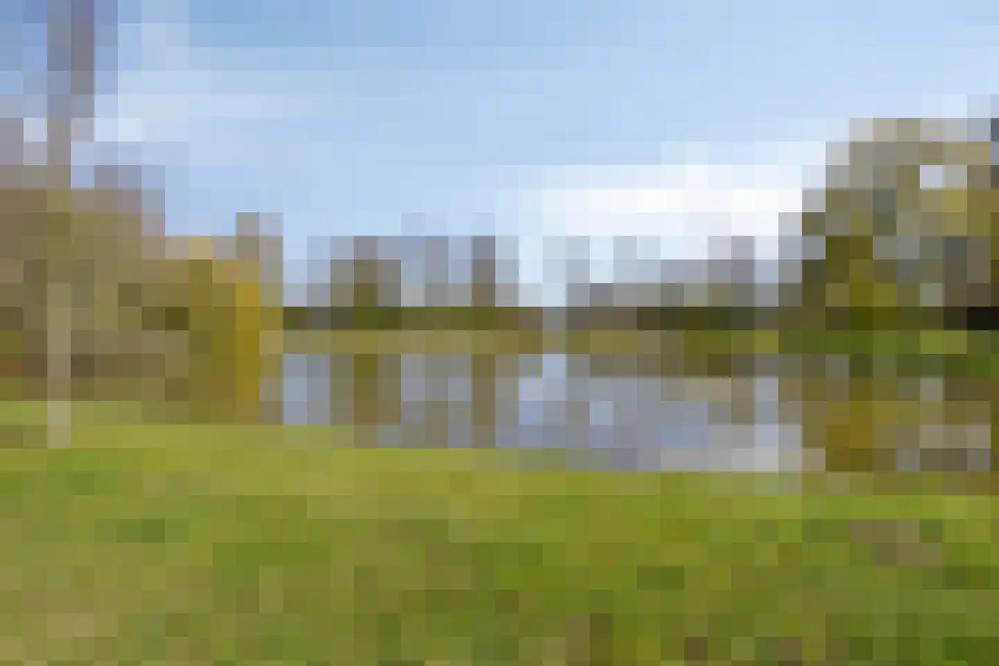 De Goudplevier 17 Sint-Michielsgestel thumbnail 53