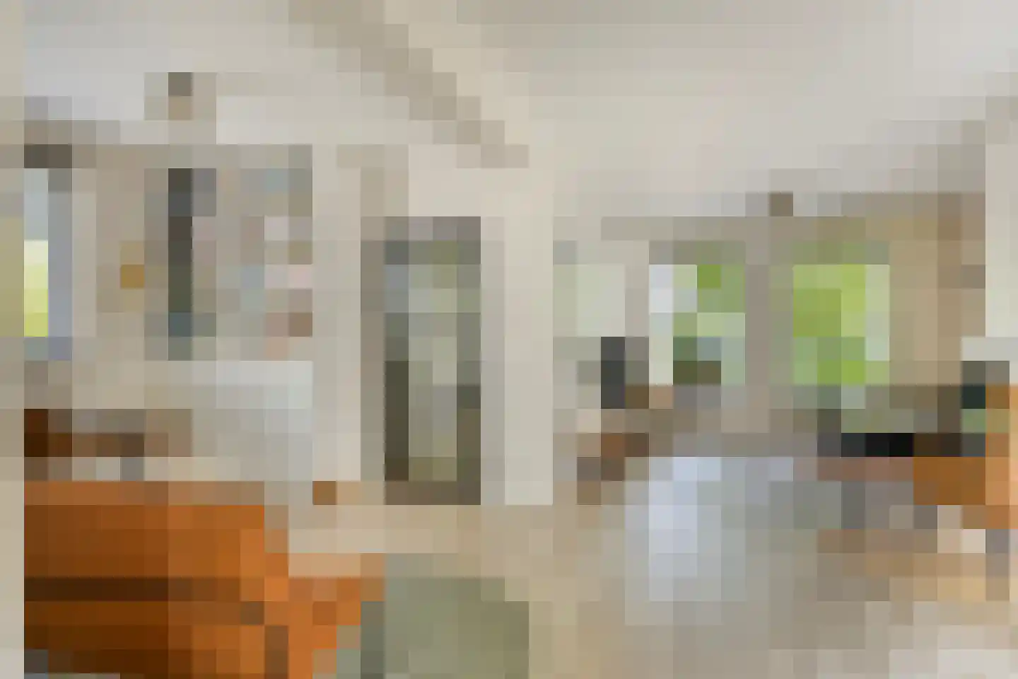 De Goudplevier 5 Sint-Michielsgestel thumbnail 12