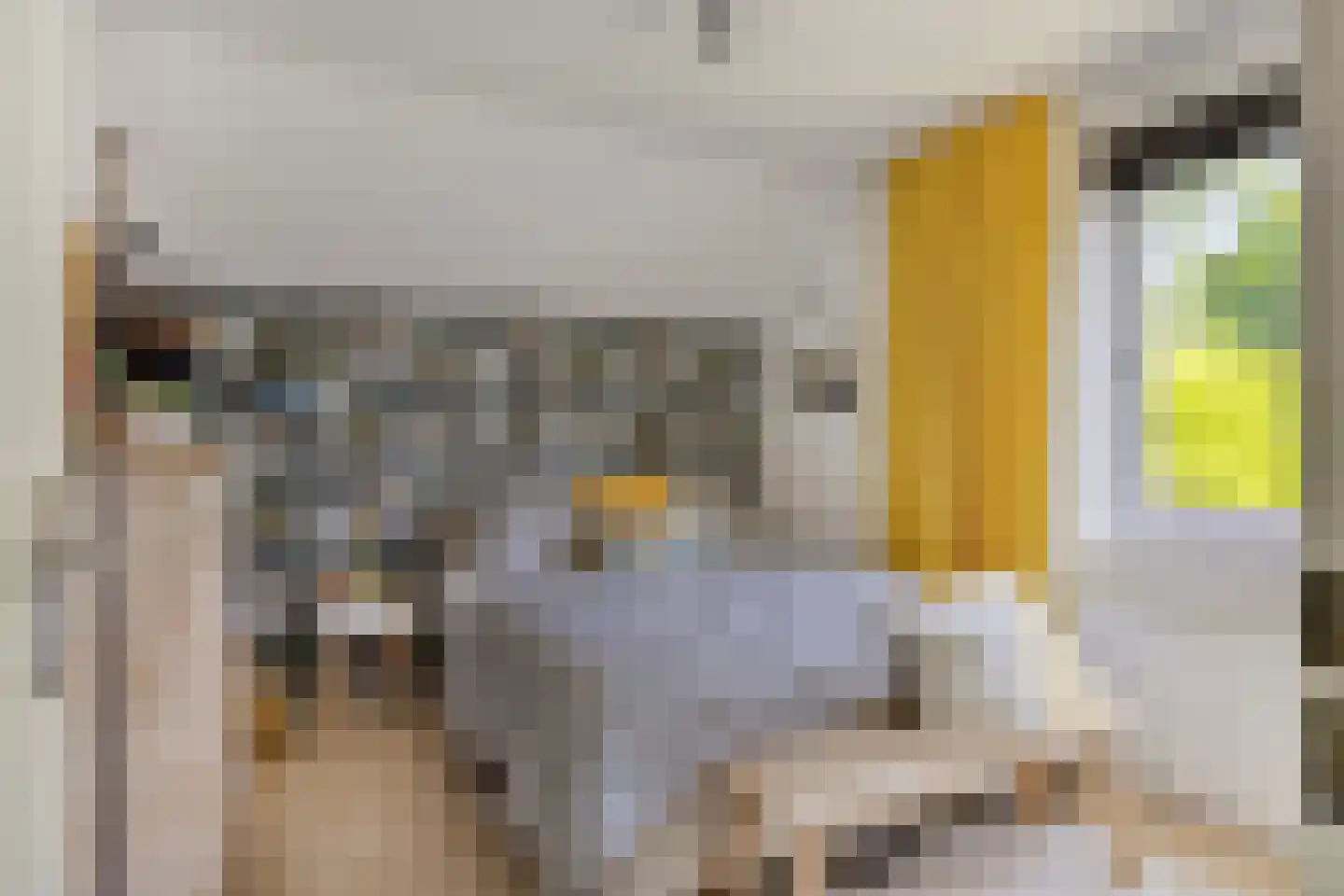 De Goudplevier 5 Sint-Michielsgestel thumbnail 26