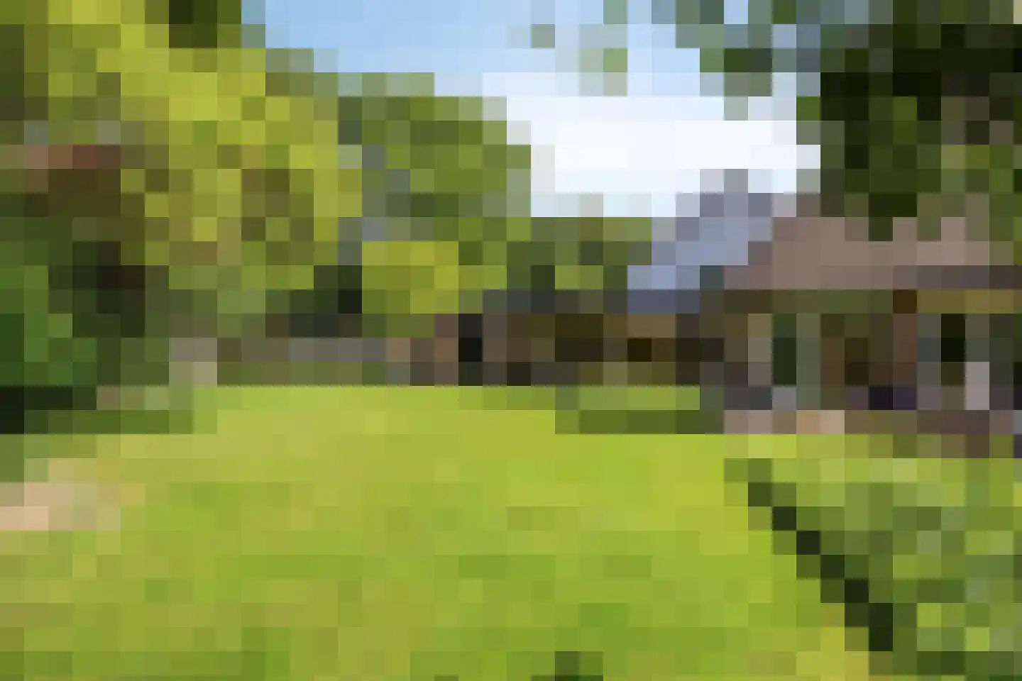 De Goudplevier 5 Sint-Michielsgestel thumbnail 34
