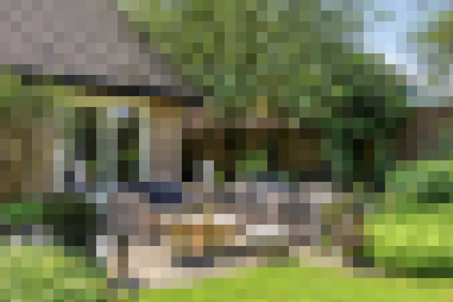 De Goudplevier 5 Sint-Michielsgestel thumbnail 35