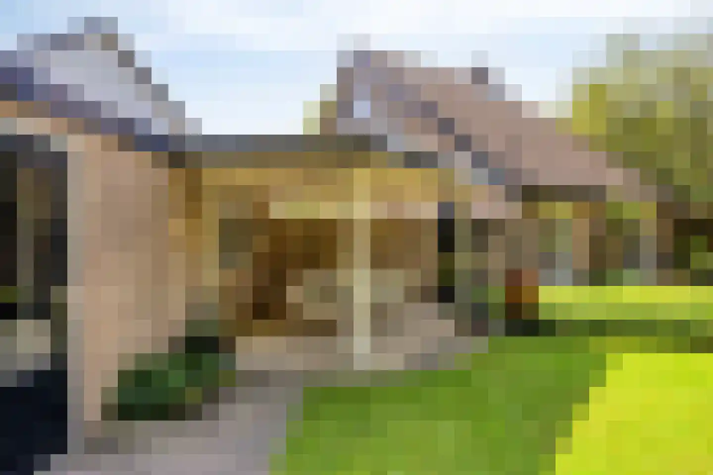 De Goudplevier 5 Sint-Michielsgestel thumbnail 36