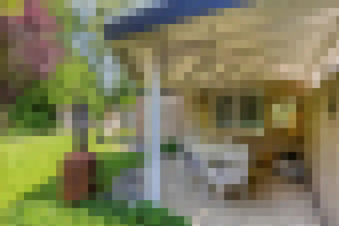 De Goudplevier 5 Sint-Michielsgestel thumbnail 37