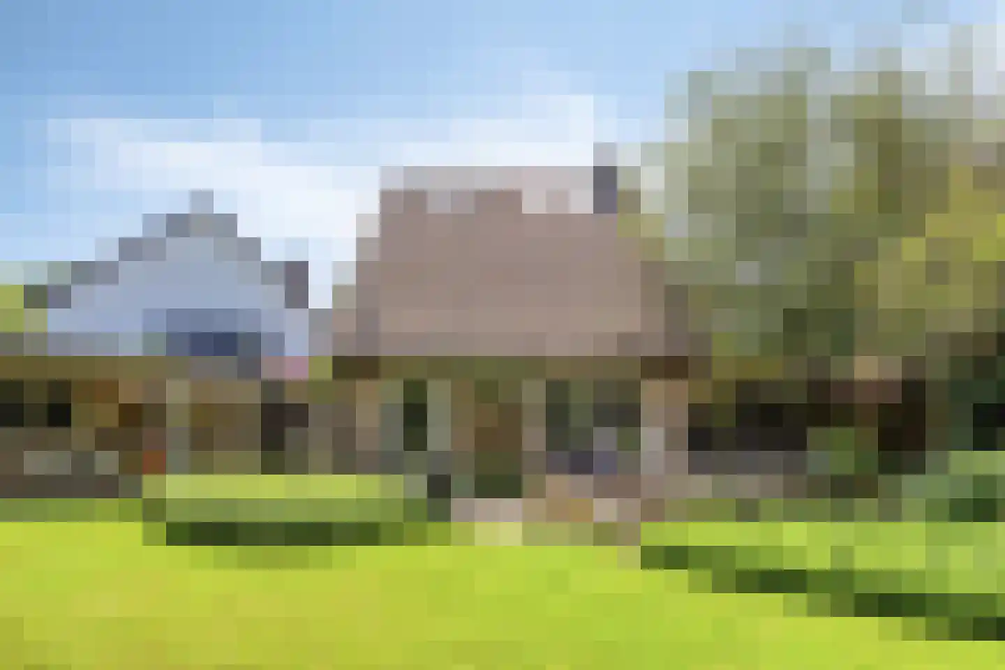 De Goudplevier 5 Sint-Michielsgestel thumbnail 39