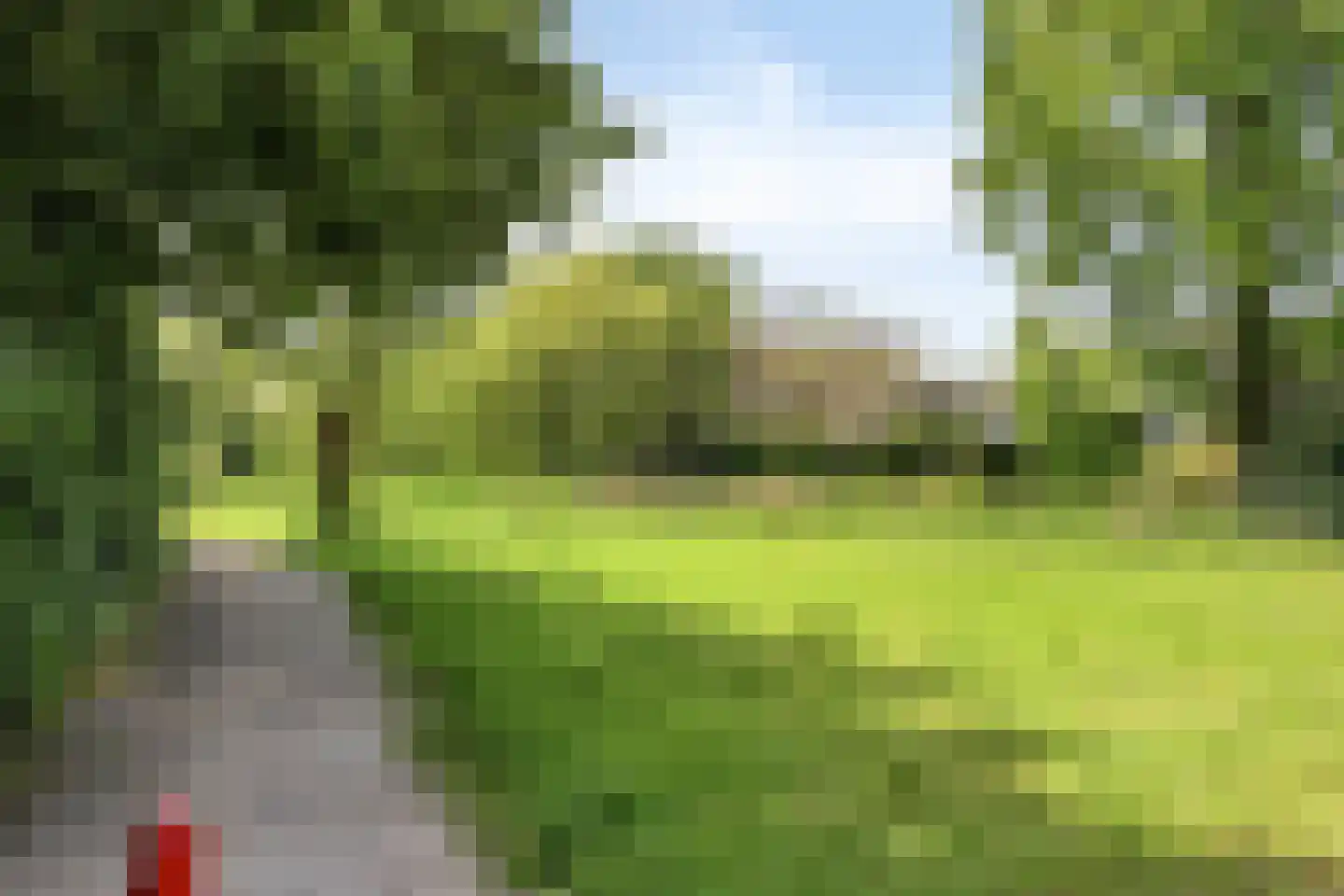 De Goudplevier 5 Sint-Michielsgestel thumbnail 41
