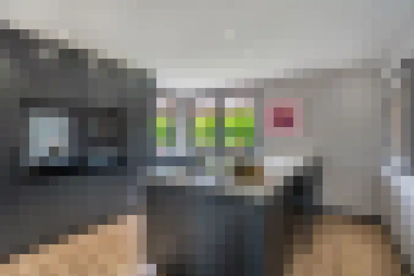De Goudrenet 1 Rossum thumbnail 18
