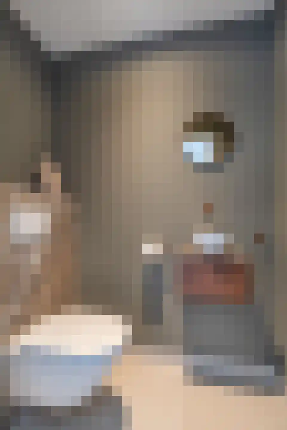 De Goudrenet 1 Rossum thumbnail 23