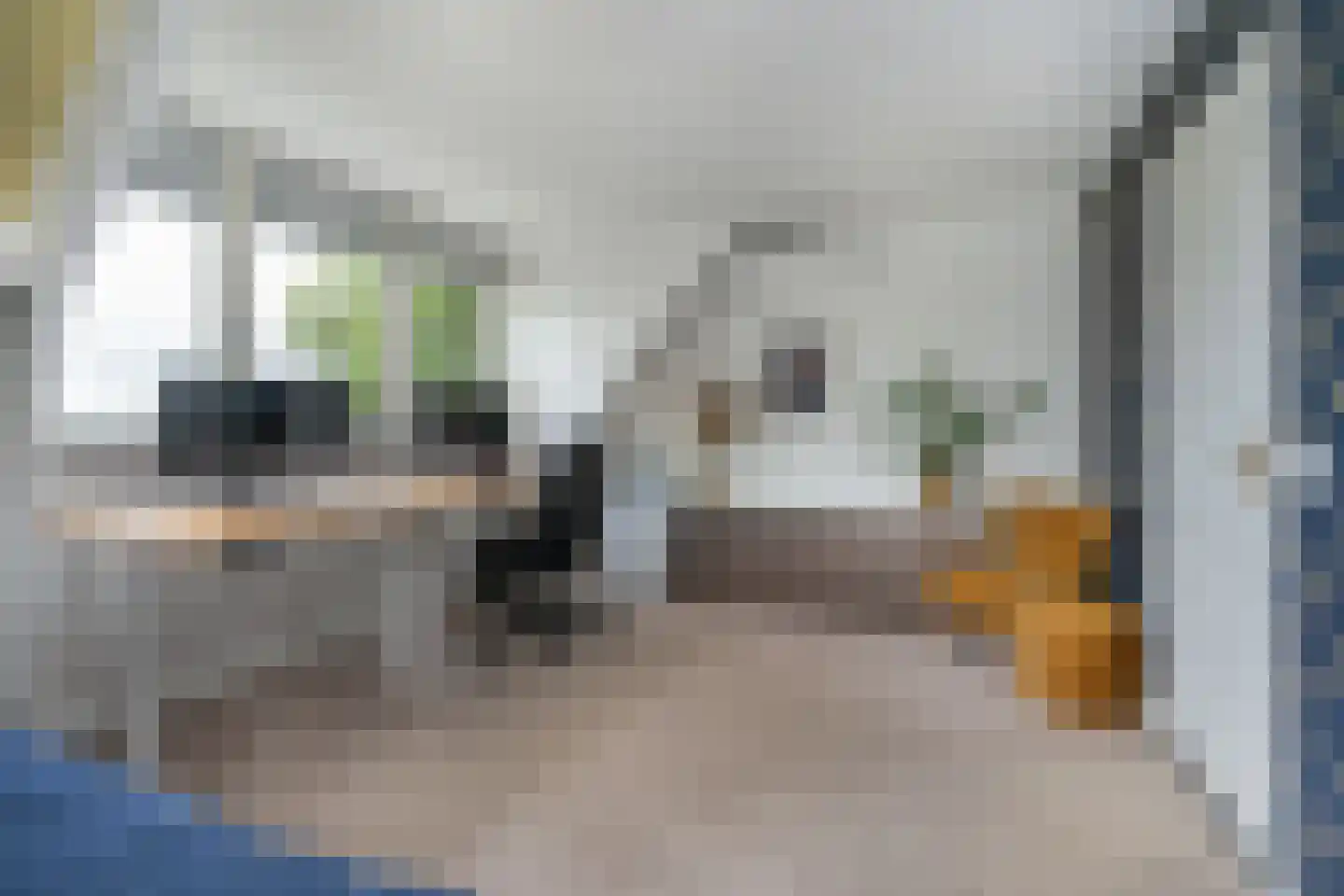 De Goudrenet 1 Rossum thumbnail 24