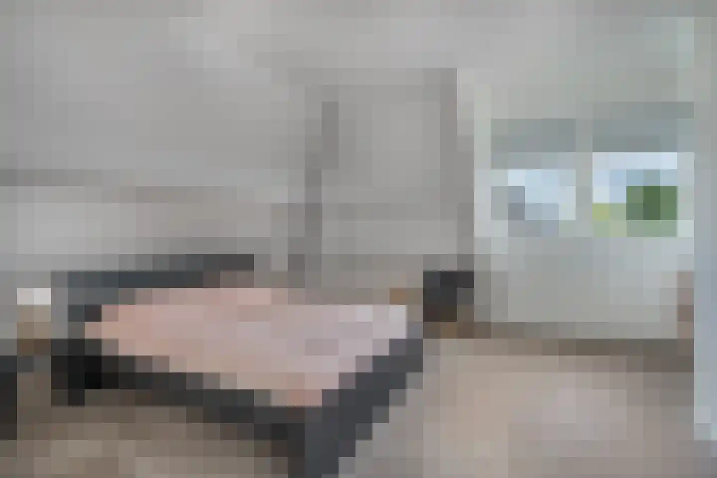 De Goudrenet 1 Rossum thumbnail 27