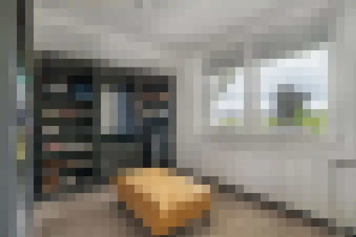 De Goudrenet 1 Rossum thumbnail 32