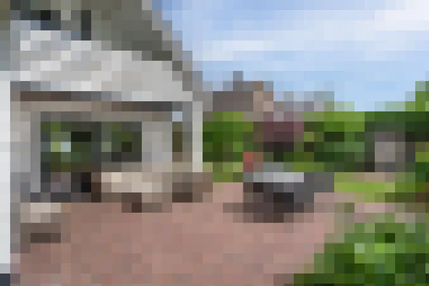 De Goudrenet 1 Rossum thumbnail 37