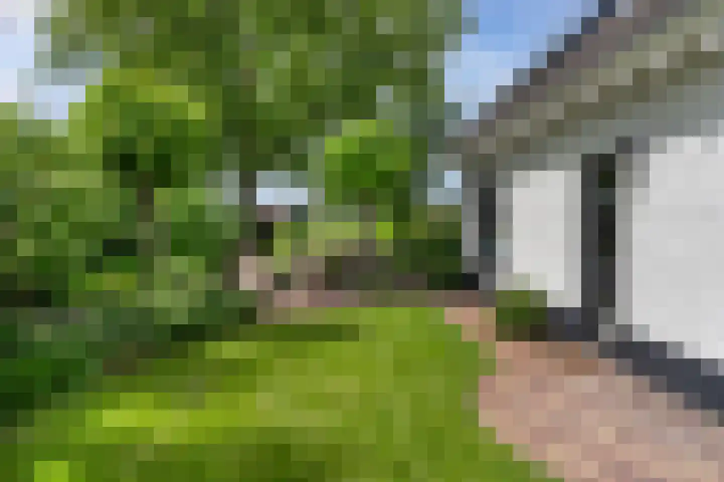 De Goudrenet 1 Rossum thumbnail 38