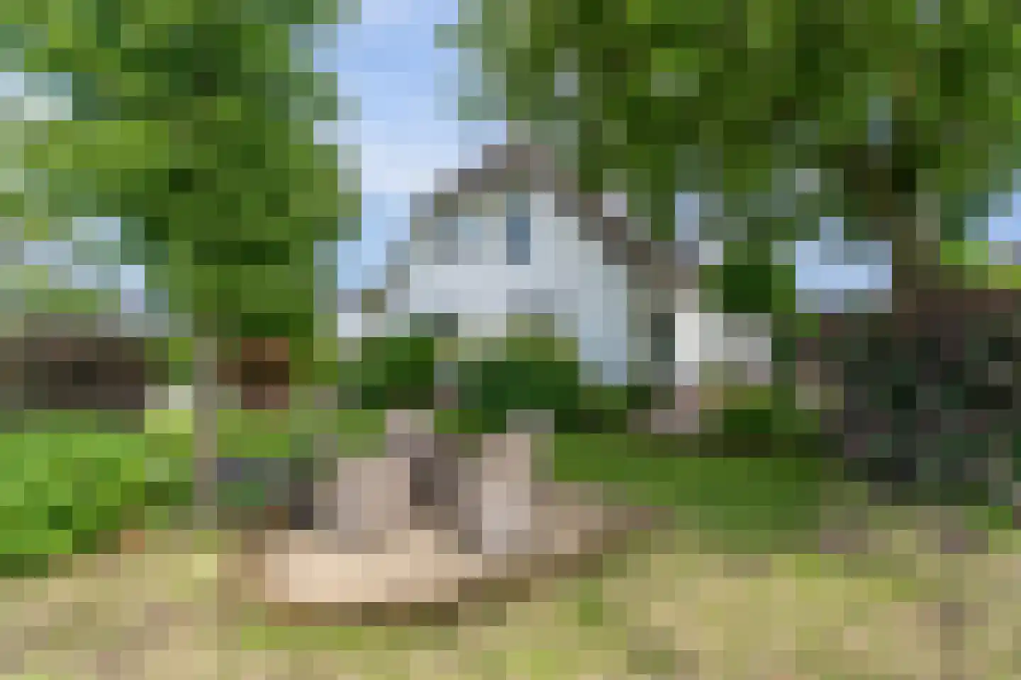 De Goudrenet 1 Rossum thumbnail 39