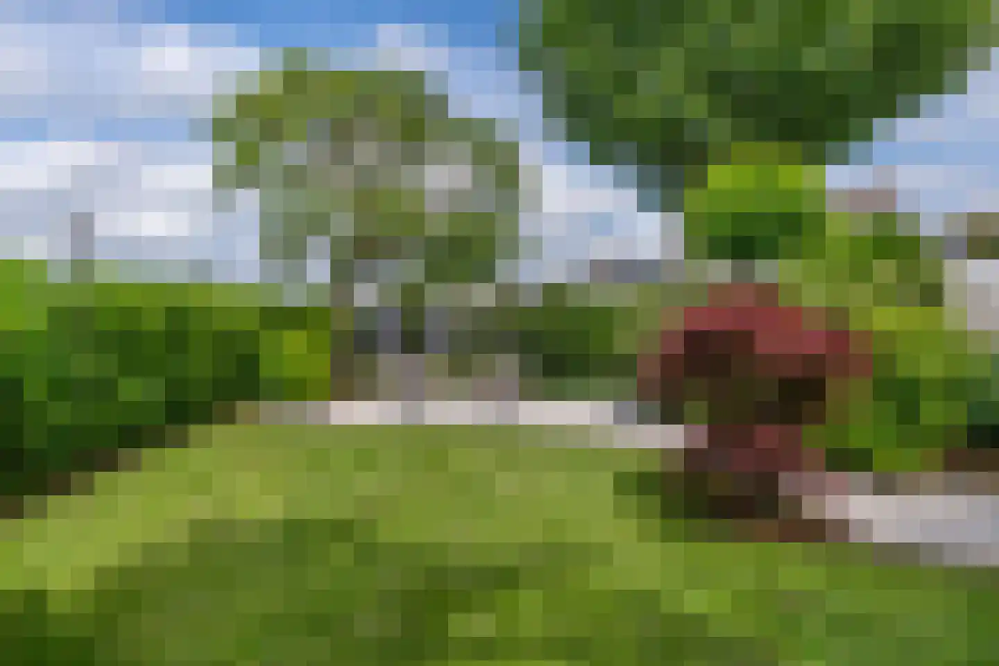 De Goudrenet 1 Rossum thumbnail 41