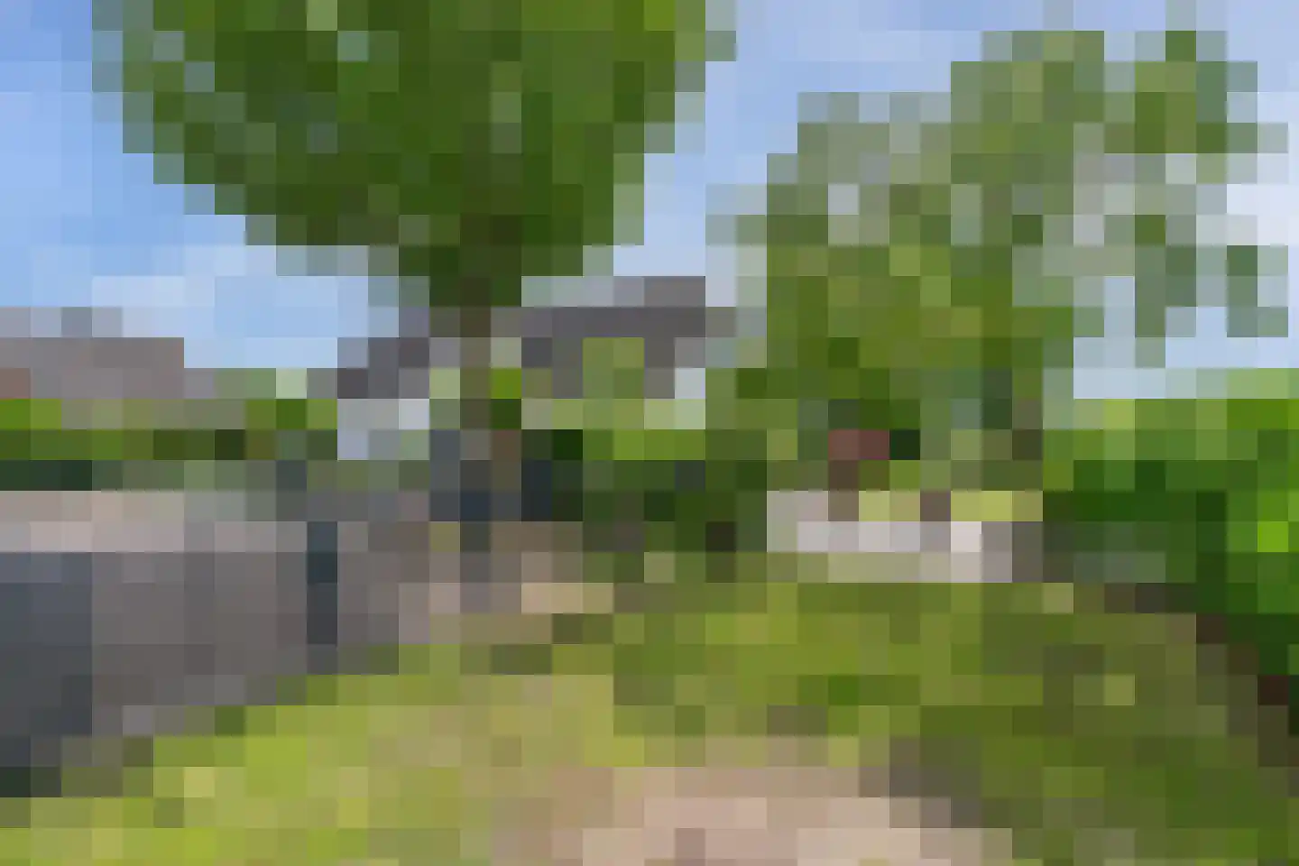 De Goudrenet 1 Rossum thumbnail 44