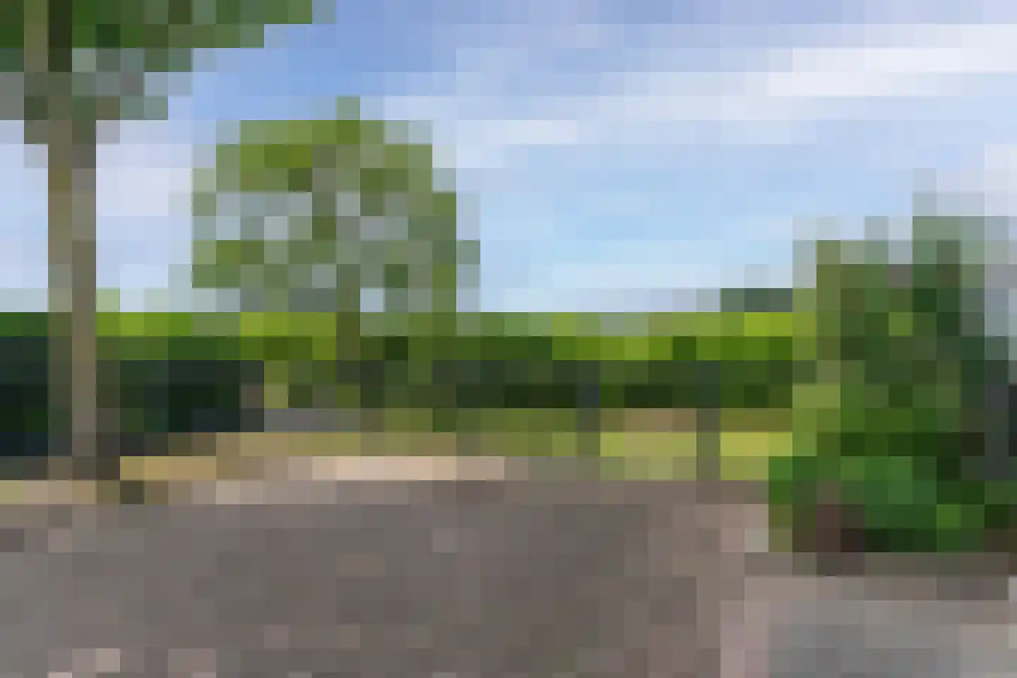 De Goudrenet 1 Rossum thumbnail 47