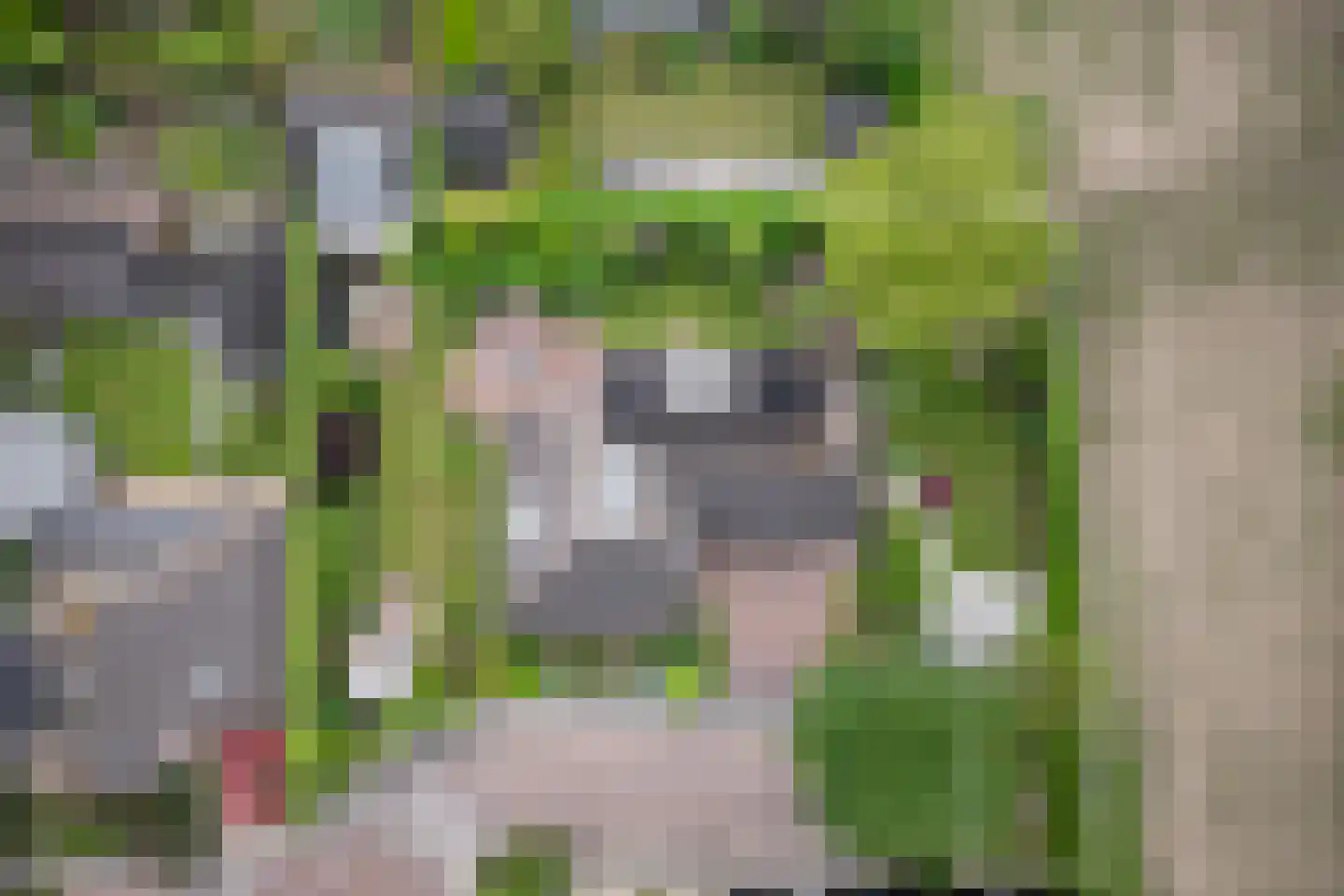 De Goudrenet 1 Rossum thumbnail 49