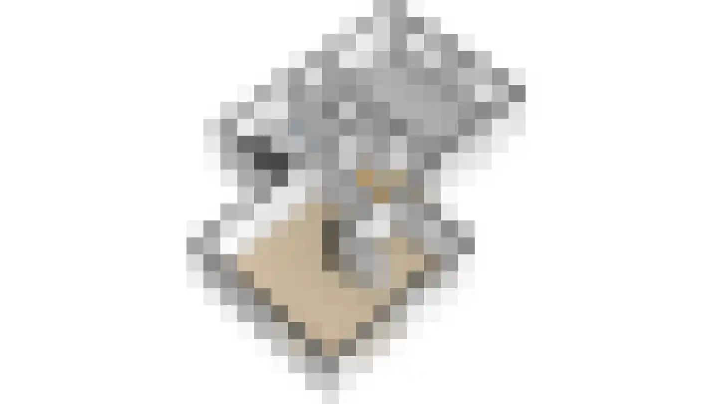 De Goudrenet 1 Rossum thumbnail 53