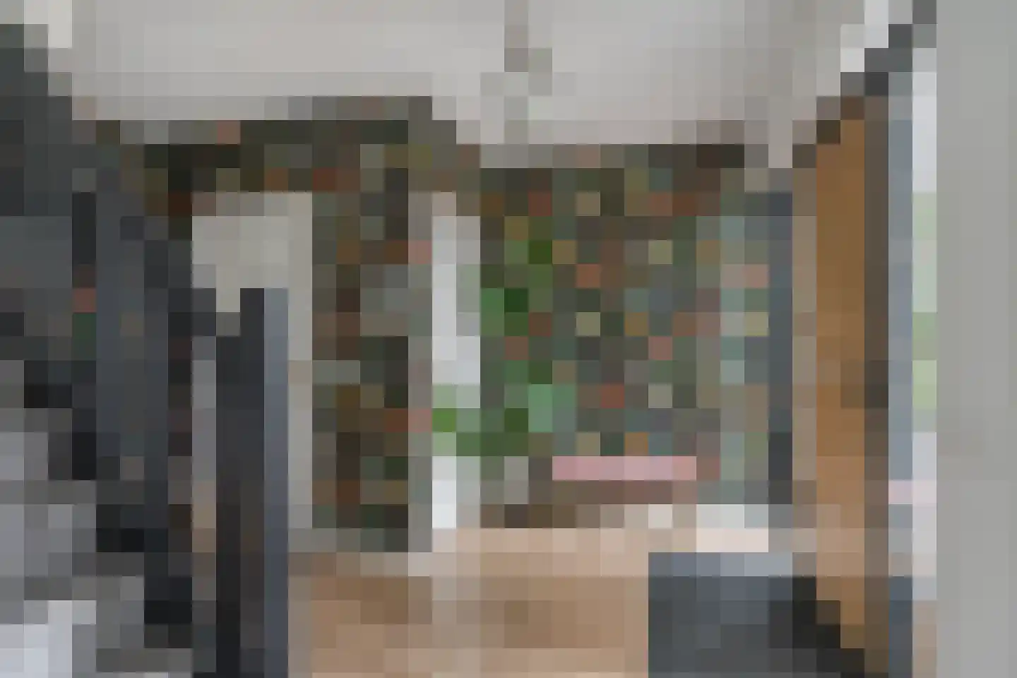 De Goudrenet 1 Rossum thumbnail 7