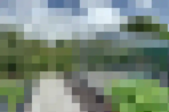De Gouw 22 E Enkhuizen thumbnail 30