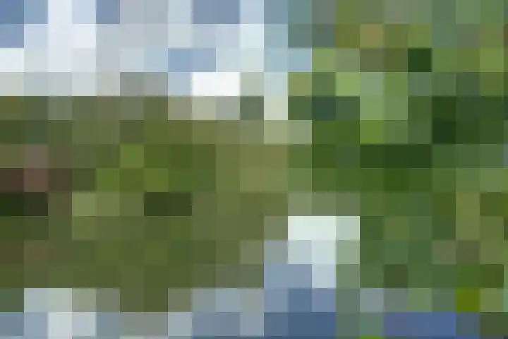 De Gouw 22 E Enkhuizen thumbnail 31