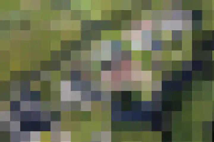 De Gouw 22 E Enkhuizen thumbnail 32