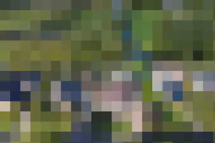 De Gouw 22 E Enkhuizen thumbnail 44