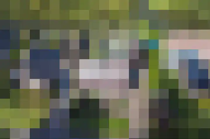 De Gouw 22 E Enkhuizen thumbnail 45