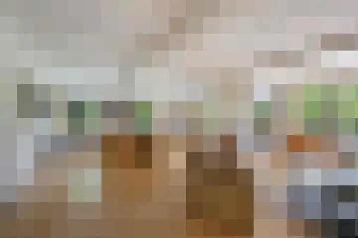 de Gouwe 21 Woerden thumbnail 10
