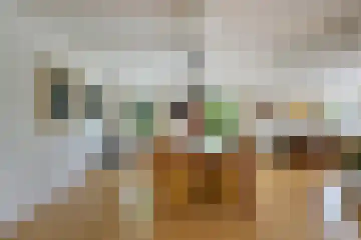 de Gouwe 21 Woerden thumbnail 11
