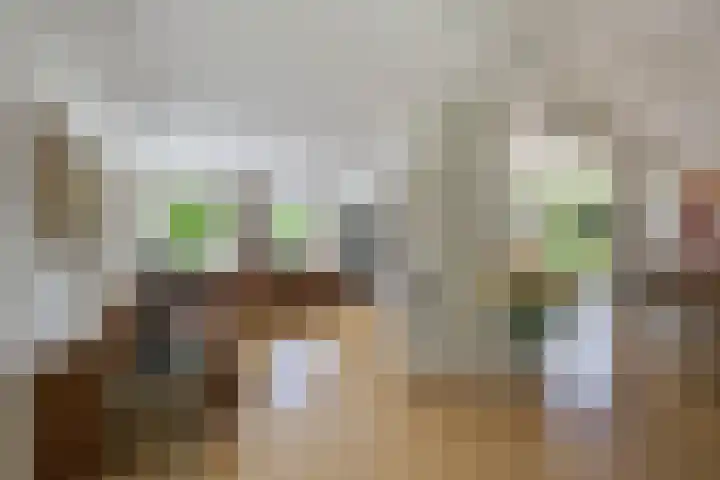 de Gouwe 21 Woerden thumbnail 12