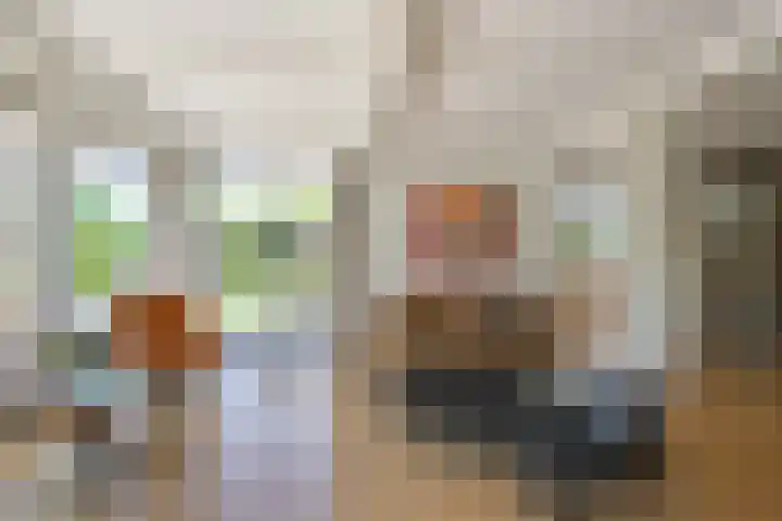 de Gouwe 21 Woerden thumbnail 14