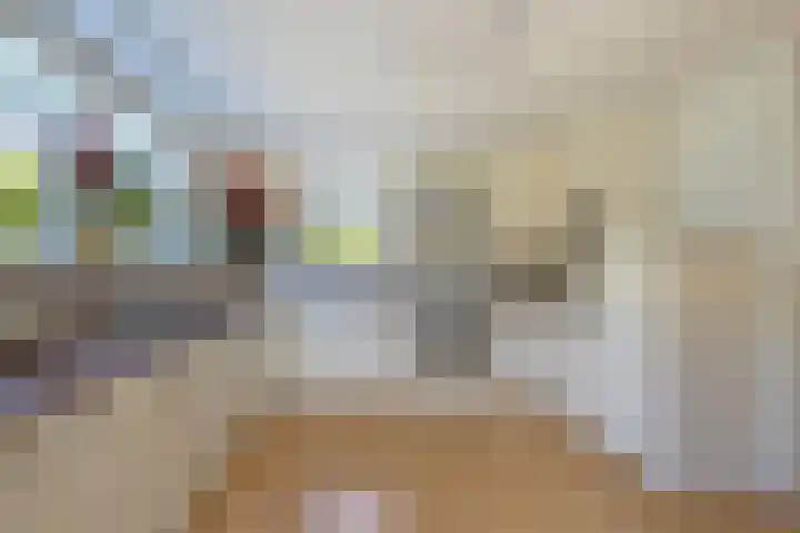 de Gouwe 21 Woerden thumbnail 18