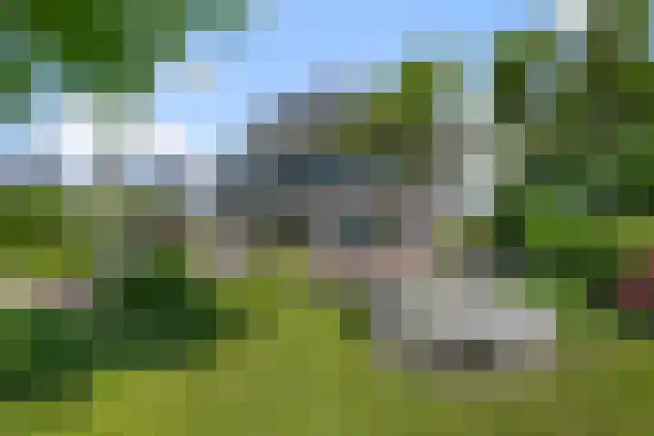 de Gouwe 21 Woerden thumbnail 4