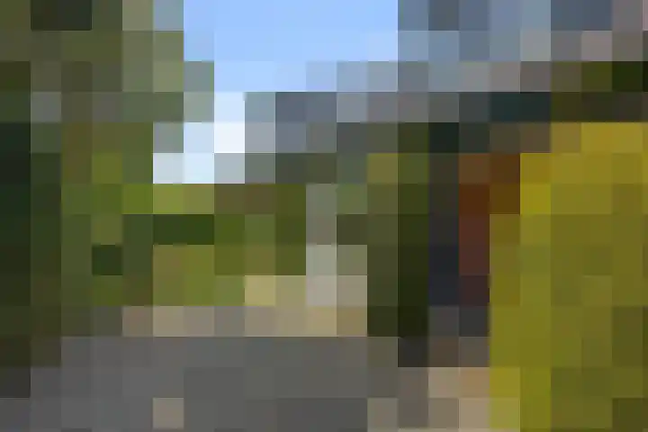 de Gouwe 21 Woerden thumbnail 6