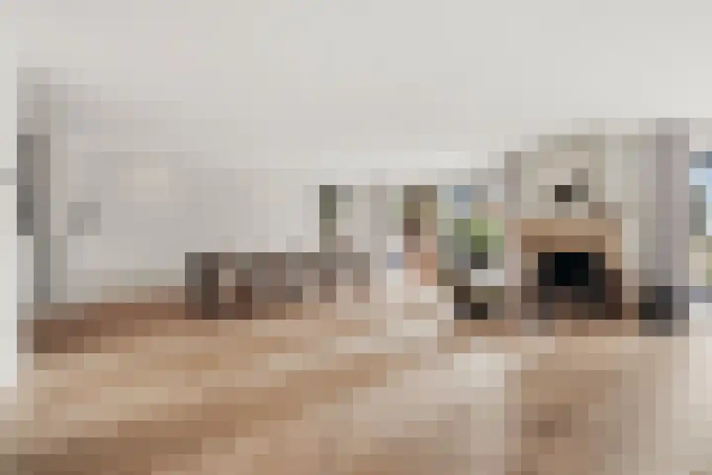 de Gouwe 29 Landsmeer thumbnail 10