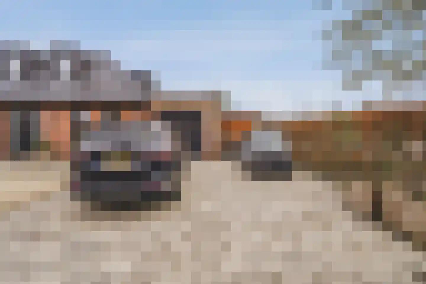 de Gouwe 29 Landsmeer thumbnail 104