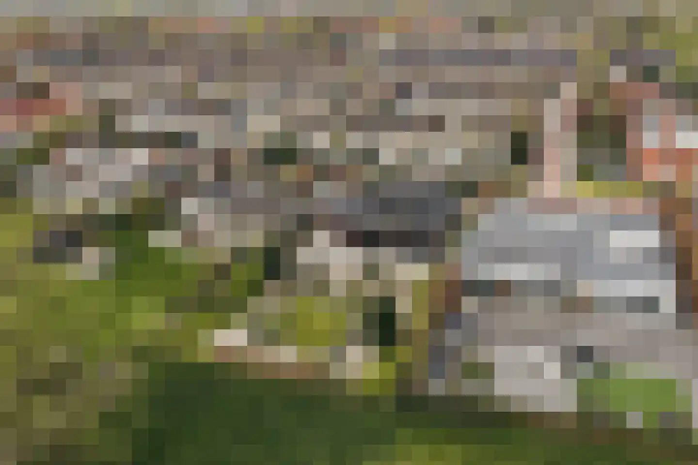 de Gouwe 29 Landsmeer thumbnail 108